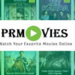 PRMovies: A Comprehensive Guide to a Popular Streaming Platform